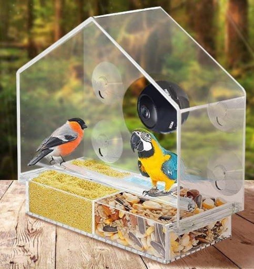Smart Bird Feeder With Live Camera Feed