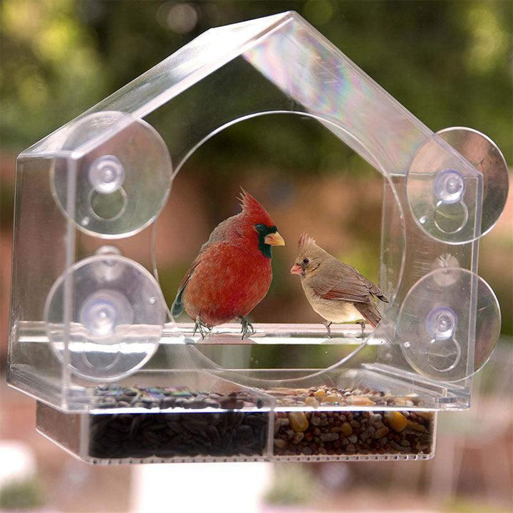 Smart Bird Feeder With Live Camera Feed