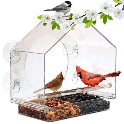 Smart Bird Feeder With Live Camera Feed