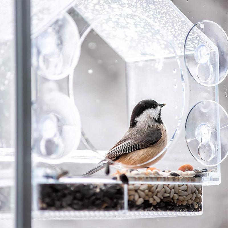 Smart Bird Feeder With Live Camera Feed