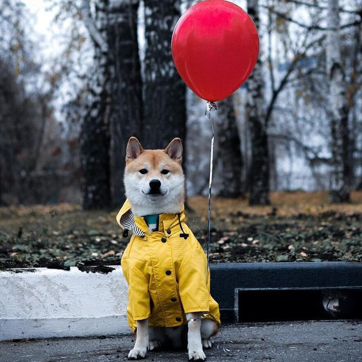 Classic British Style Dog Raincoat