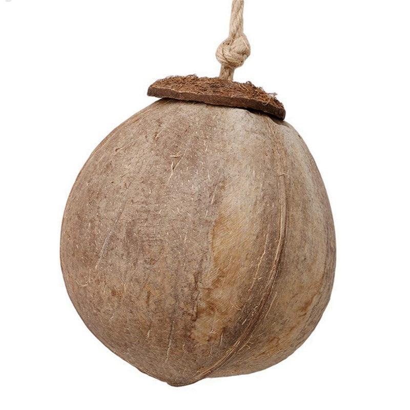Coconut Shell Paradise Bird Nest