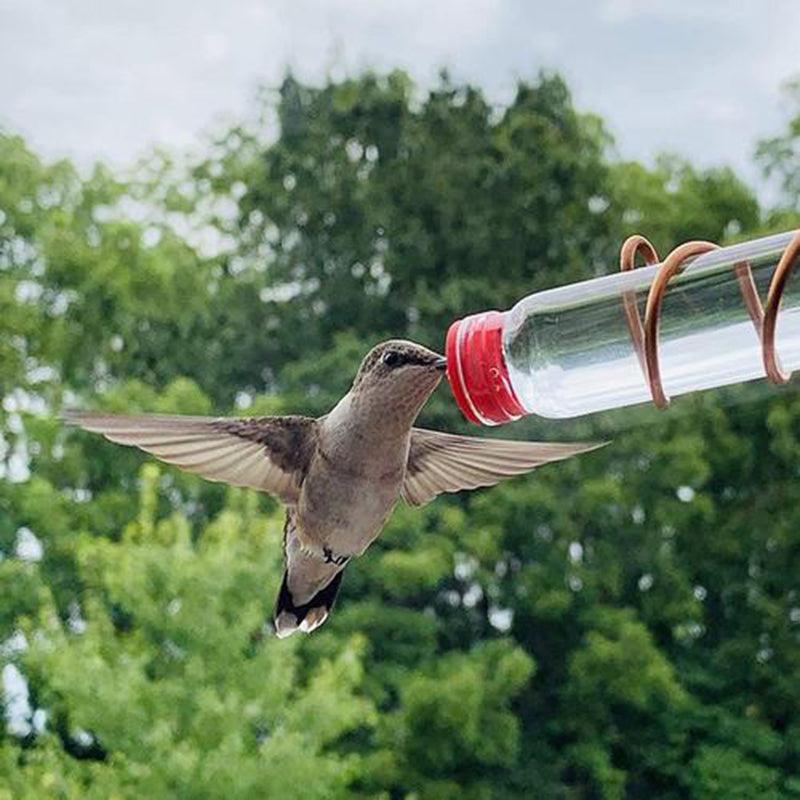 Copper Wire Hummingbird Feeder Kit