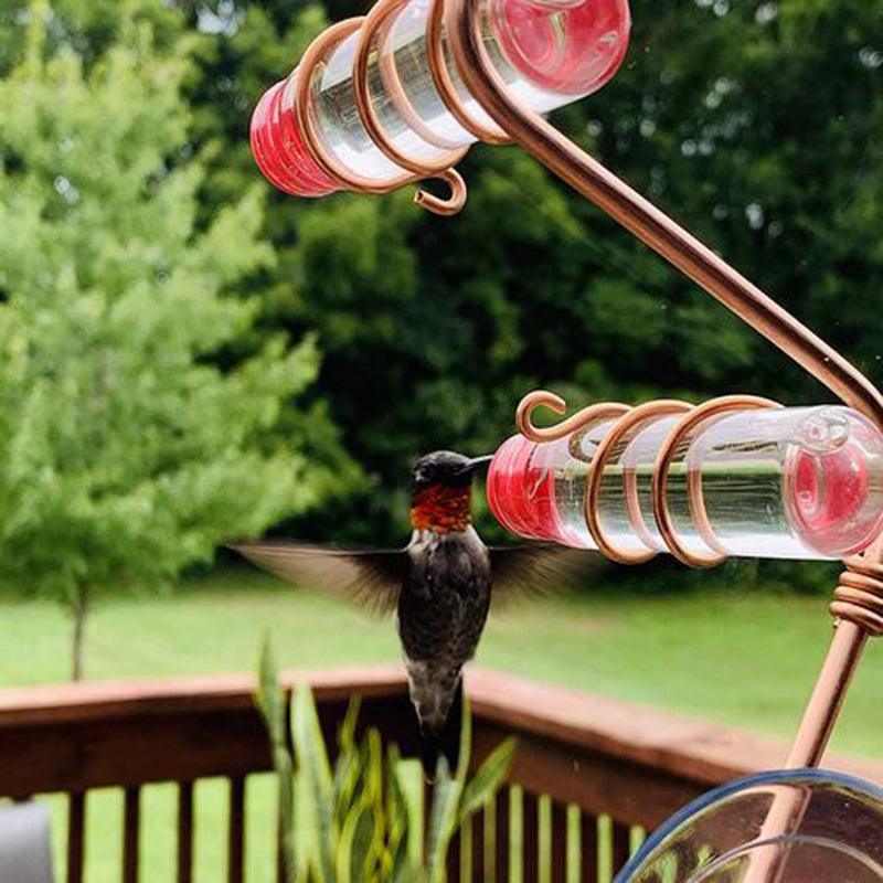 Copper Wire Hummingbird Feeder Kit