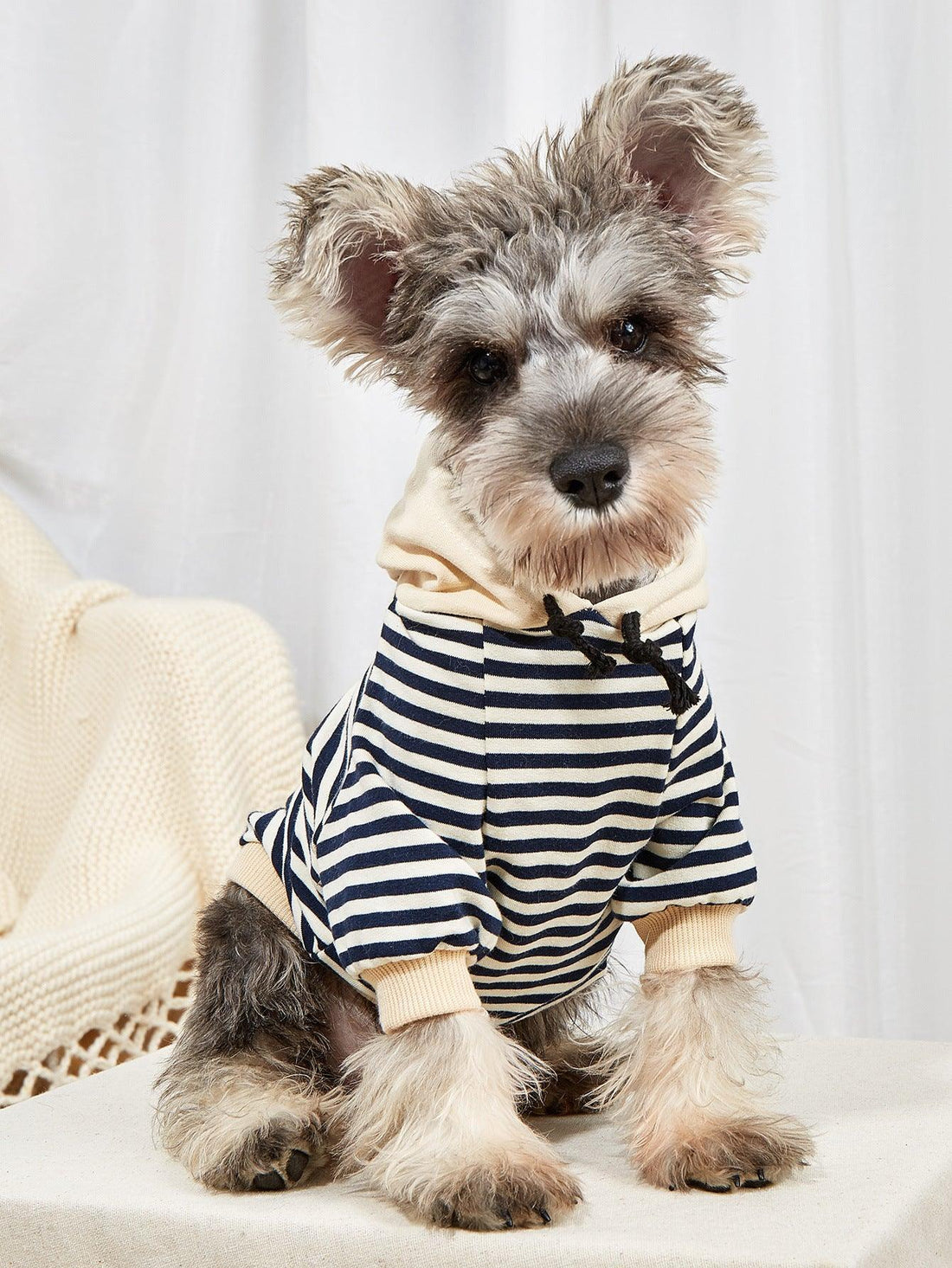 Pet Canine Striped Hooded Sweater