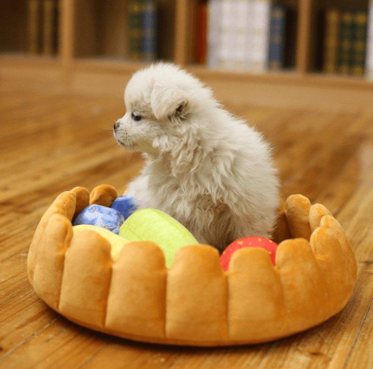 Cozy Fruit Tart Pet Bed