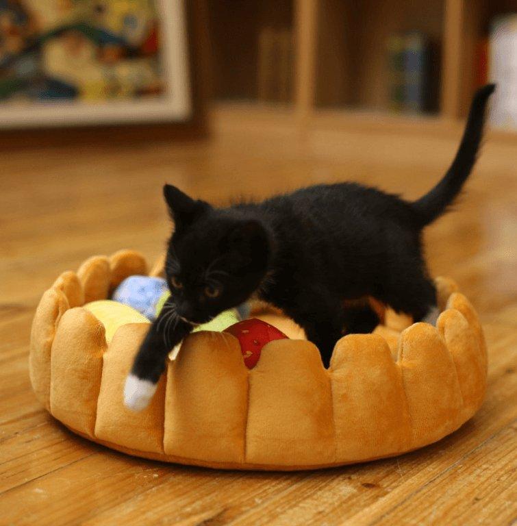 Cozy Fruit Tart Pet Bed