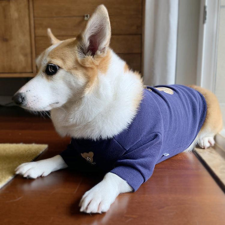 Stylish Dog Clothing For Ultimate Comfort