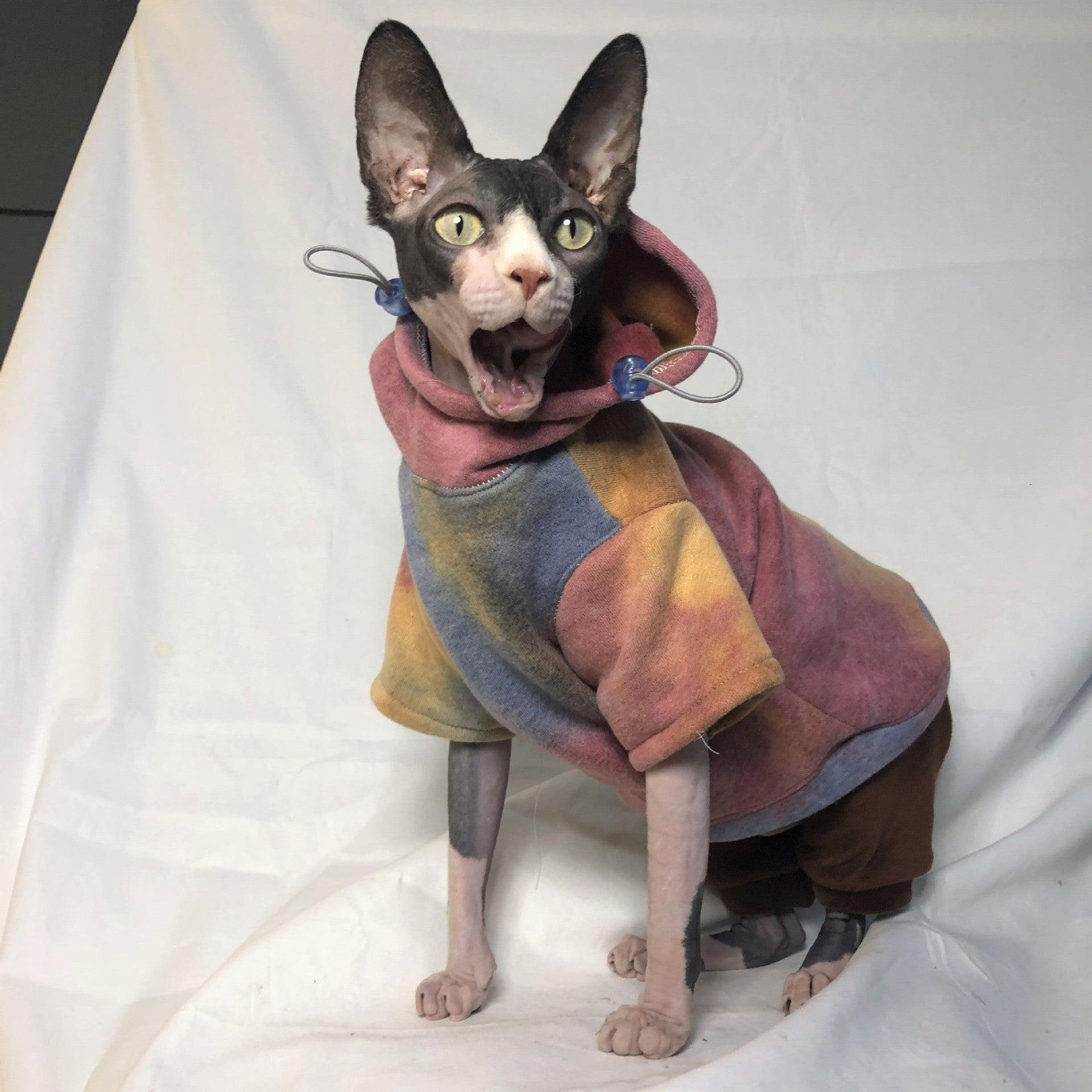 Pet Tie-Dye Hooded Sweater