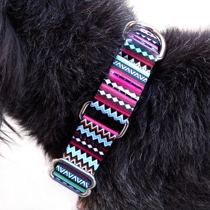 Cozy Stripe Pet Walking Leash