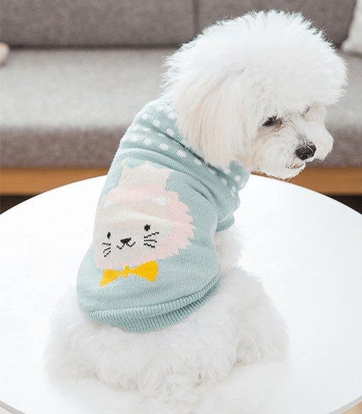 Cozy Woolen Pet Sweater