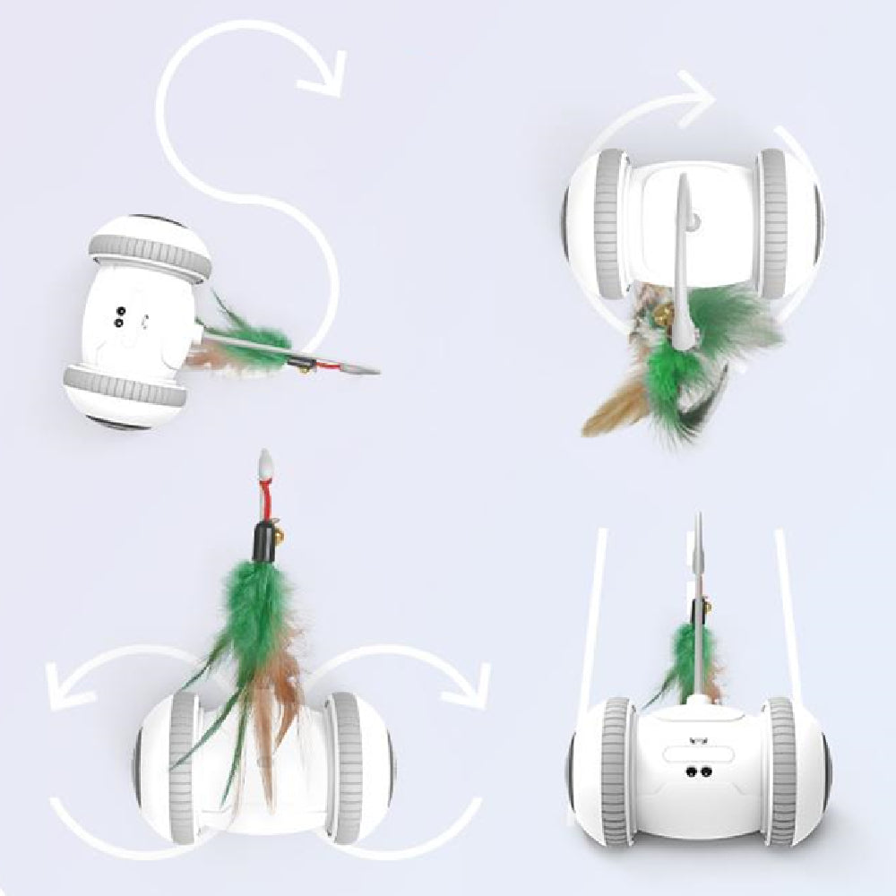 Interchangeable Pet Feather Toys