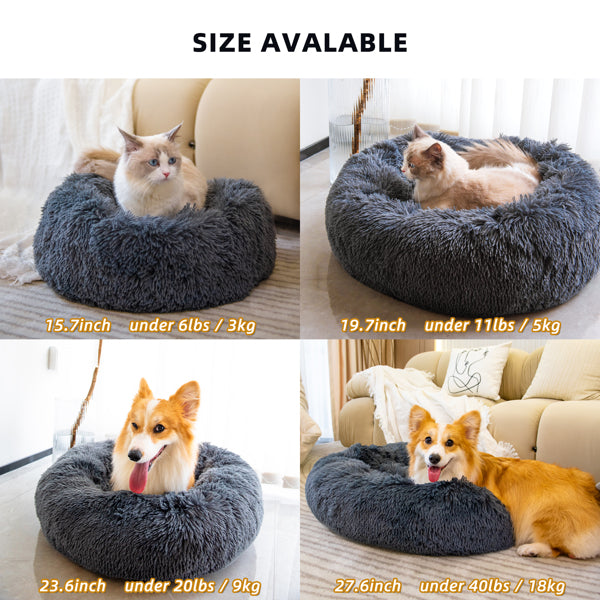 Pet Beds for Cats