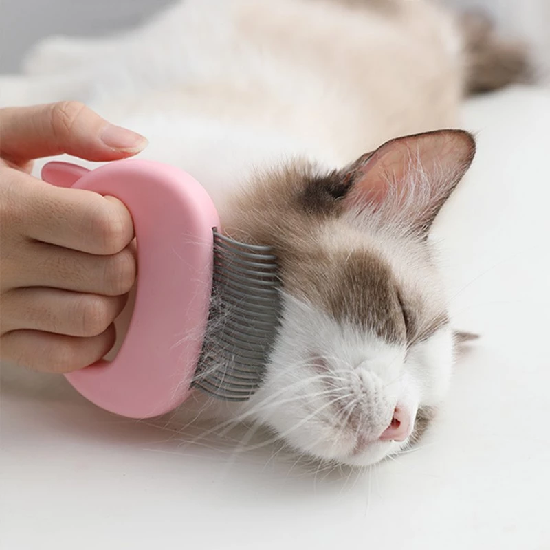 Pet Massage Brush Pet Grooming