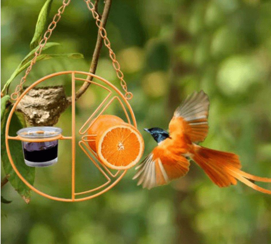 Deluxe Metal Swing Bird Feeder