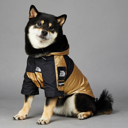 Golden Dog Raincoat