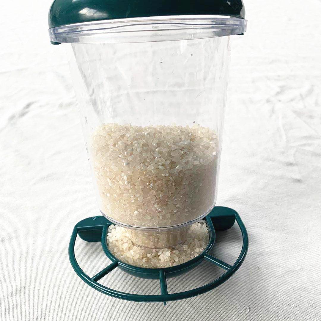 Hanging Bird Feeder With Detachable Roof