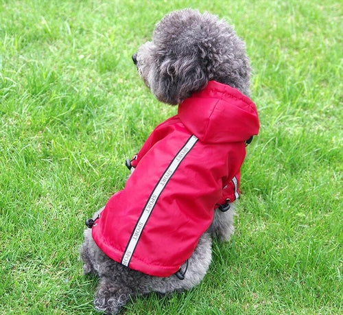 Hooded Pet Raincoat Waterproof And Warm