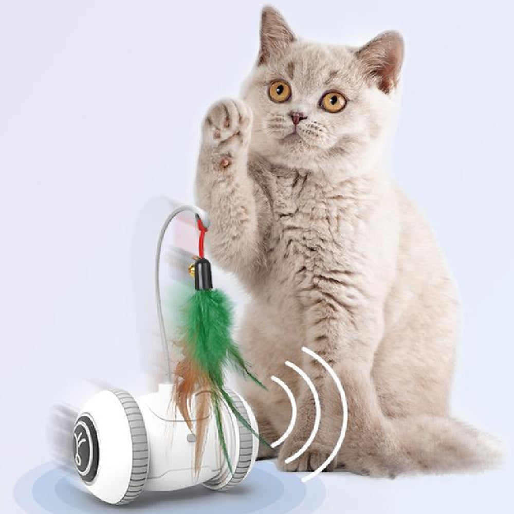Interchangeable Pet Feather Toys
