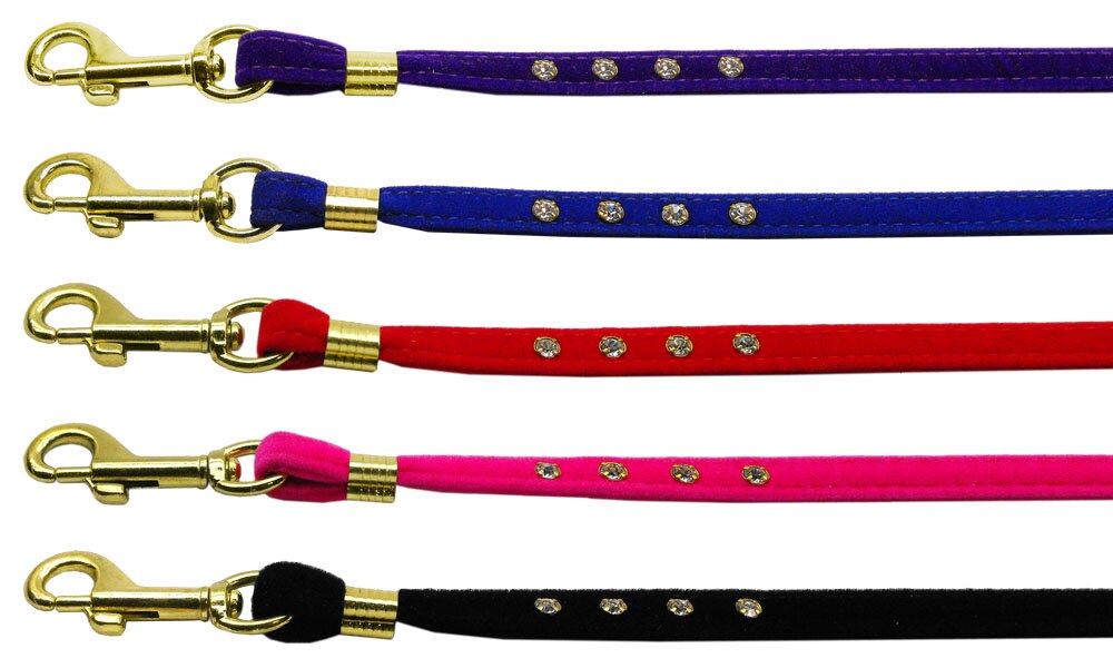 Puppy & Pet Leash