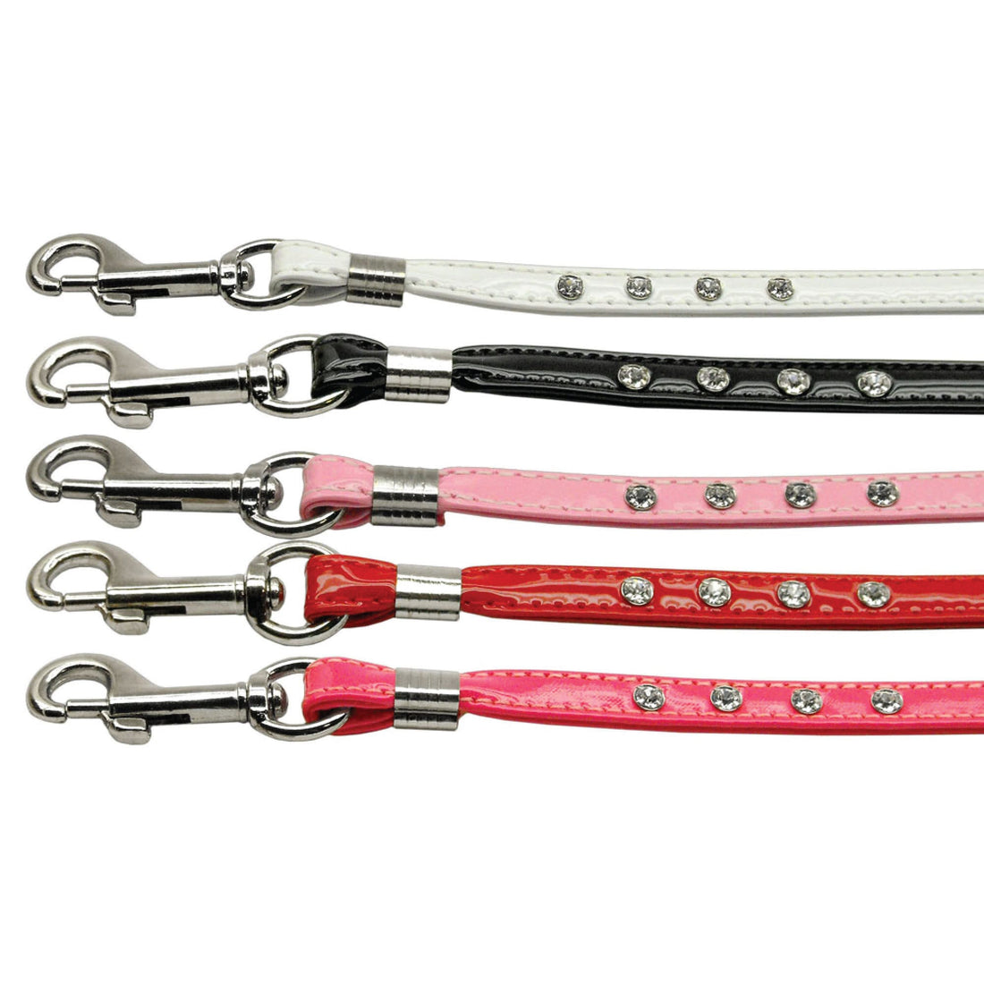Dog, Puppy & Pet Leash