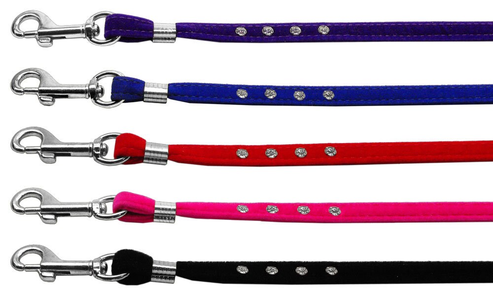 Puppy & Pet Leash