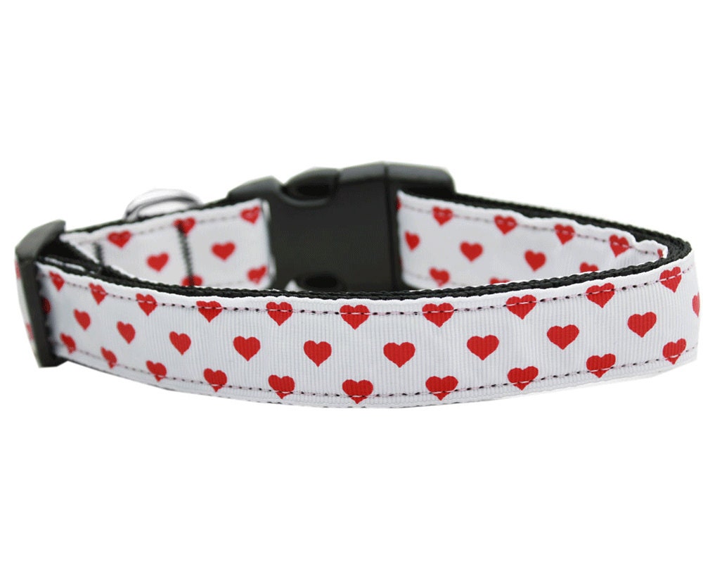 Cat Nylon Collar or Leash