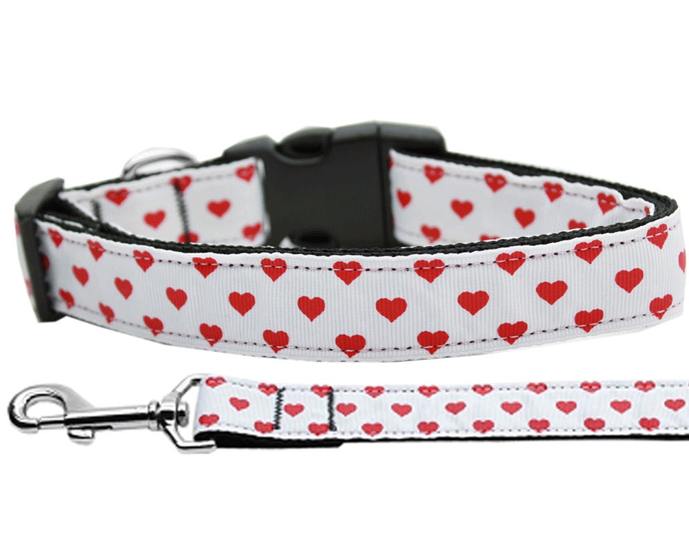 Cat Nylon Collar or Leash